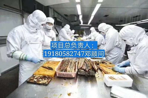 普瑞瑪扳手泵 報價、廠家與軟件代理服務全解析